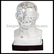 ISO Head acupuncture model 20CM, PVC acupuncture model